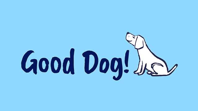 The best dogs’ guide to being good